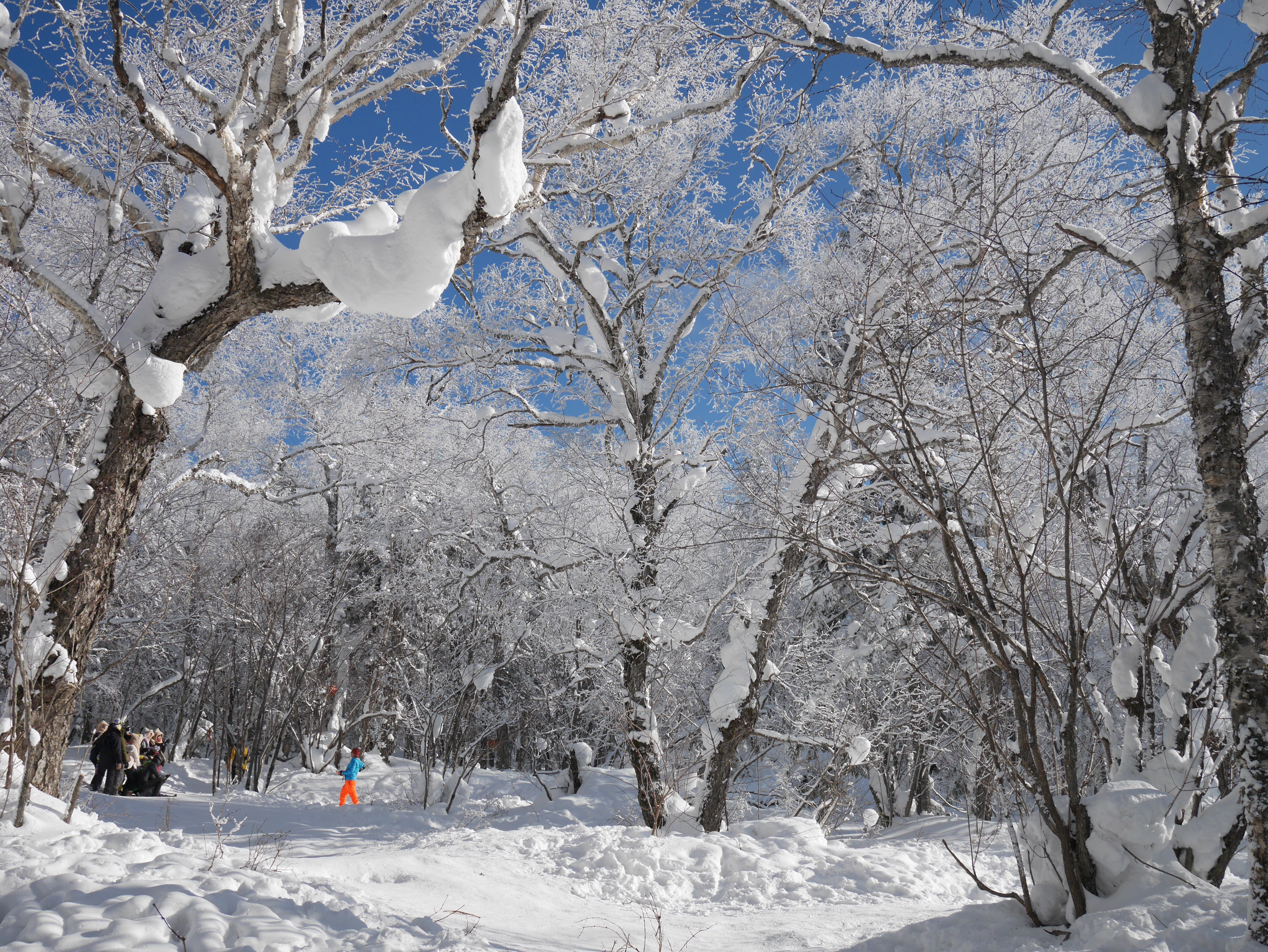 Fleece winter snow clothes wear coat boot 